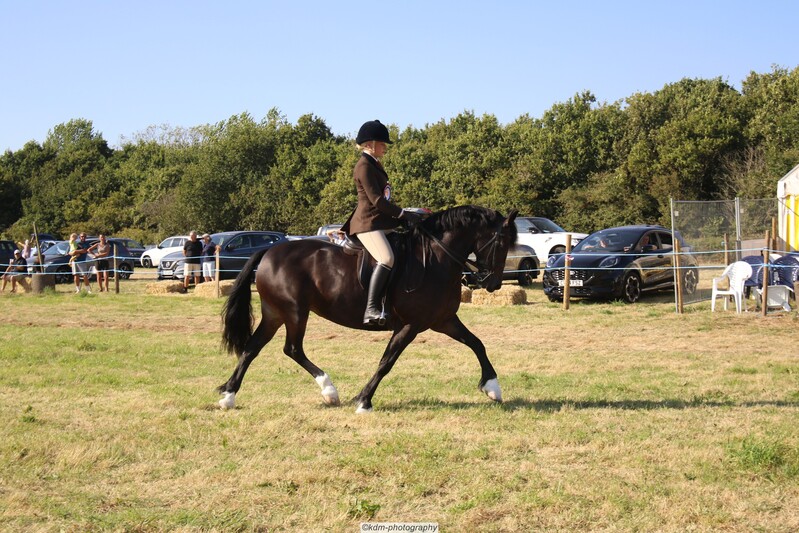 PHS_7398.jpg