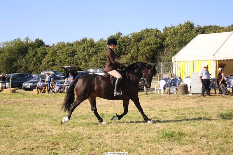 PHS_7401.jpg
