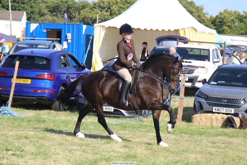 PHS_7410.jpg