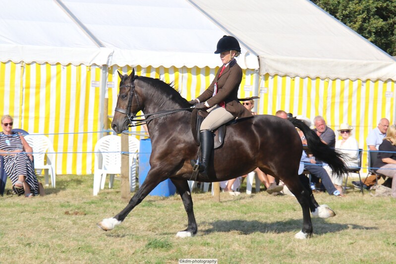 PHS_7421.jpg