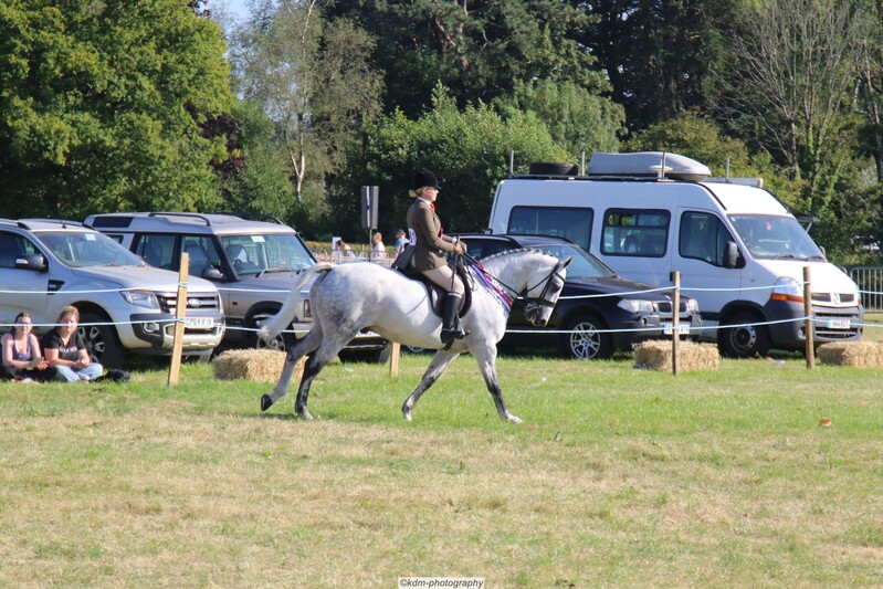 PHS_7479.jpg