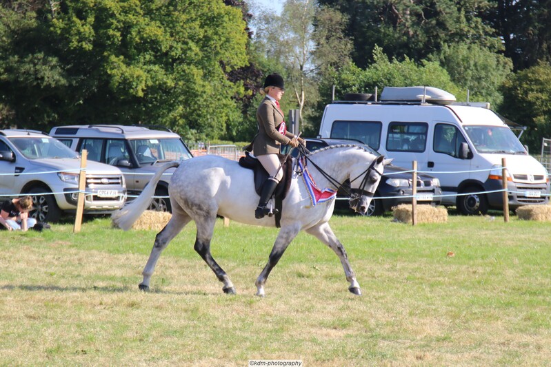 PHS_7527.jpg
