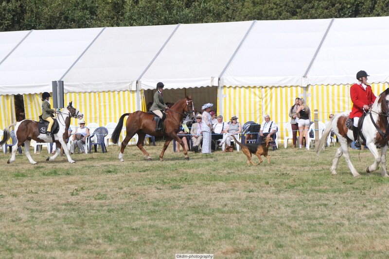PHS15143.jpg