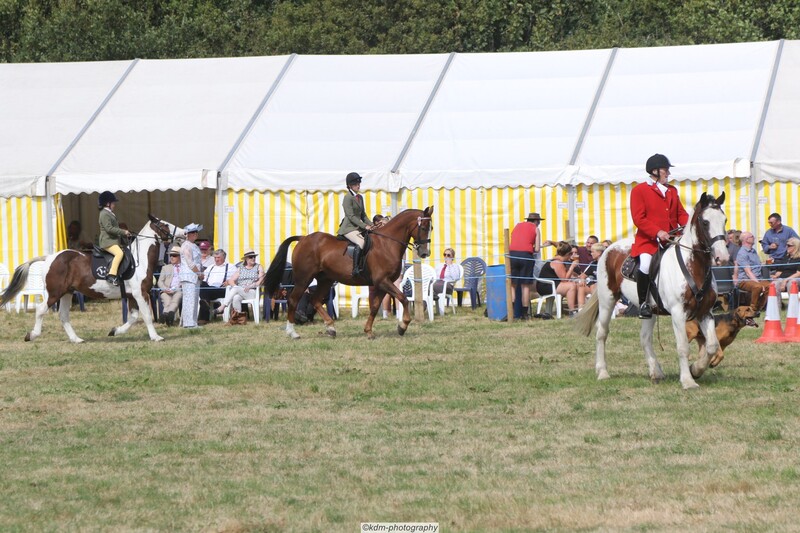 PHS15144.jpg