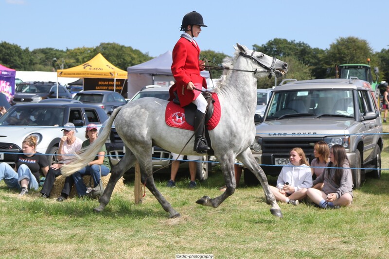 PHS15152.jpg