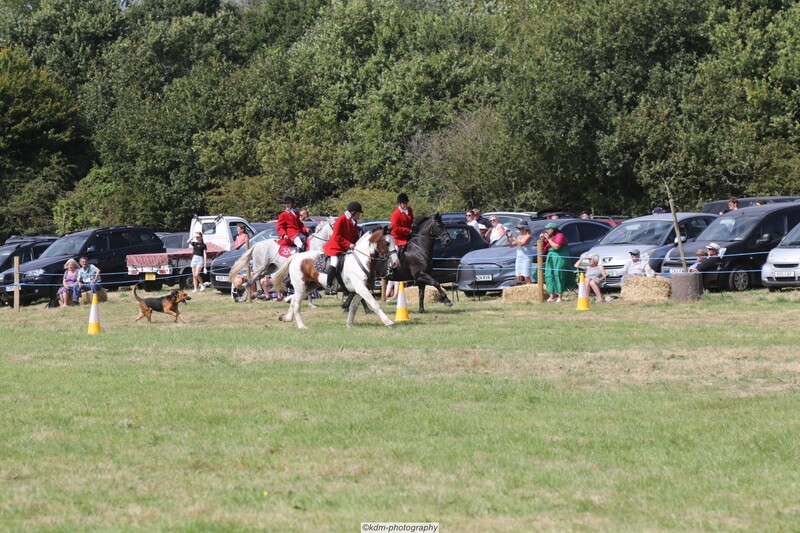 PHS15165.jpg