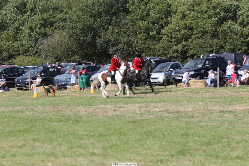 PHS15167.jpg