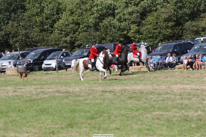 PHS15169.jpg