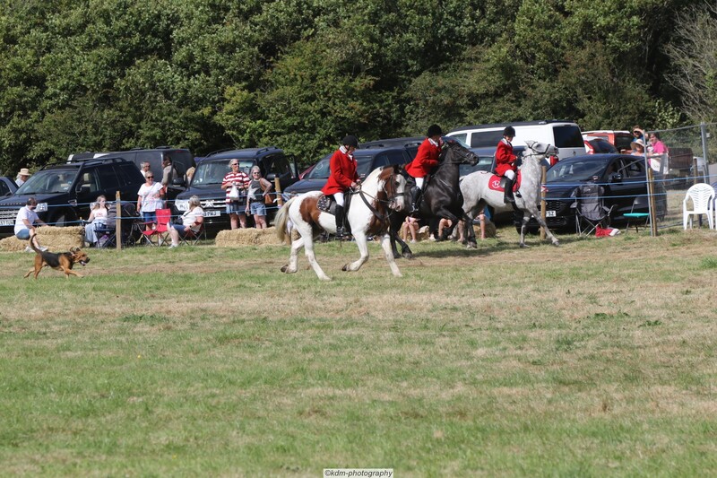 PHS15170.jpg