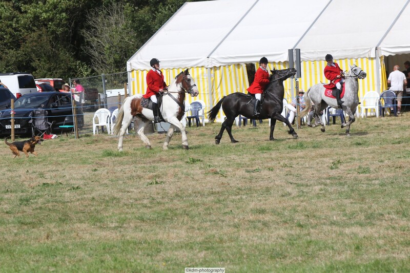 PHS15174.jpg