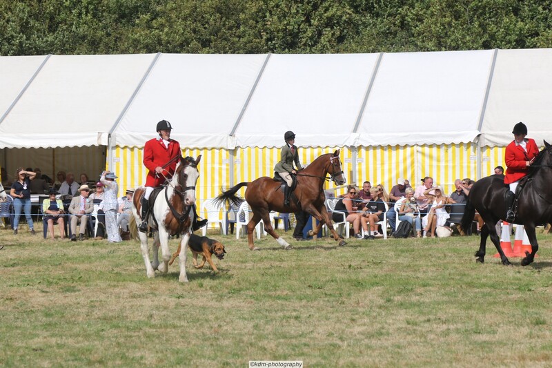 PHS15176.jpg