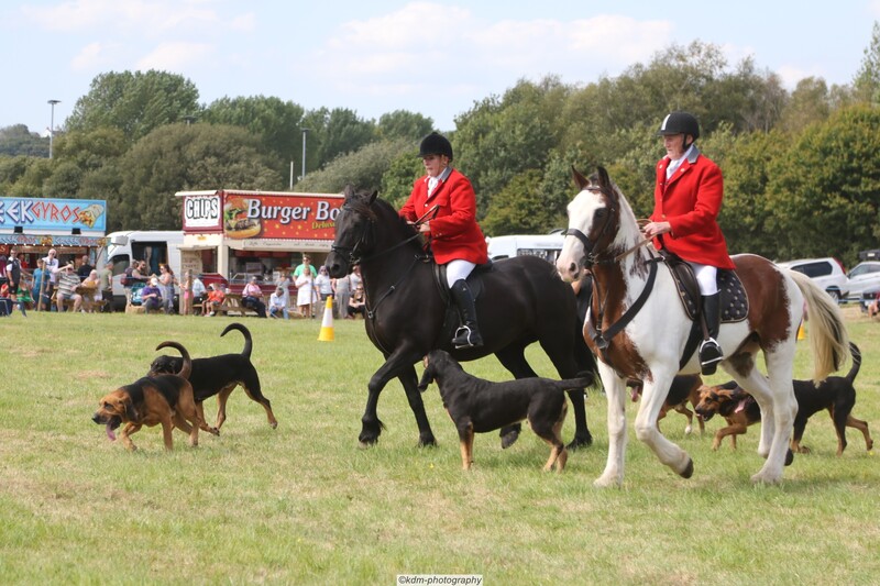 PHS15193.jpg