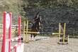 NQQ15488.jpg