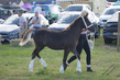 PBHS0049.jpg
