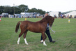 PBHS0096.jpg