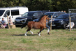 PBHS0275.jpg