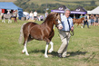 PBHS0386.jpg