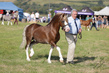PBHS0387.jpg