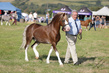 PBHS0388.jpg