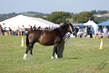 PBHS0848.jpg
