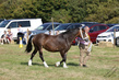 PBHS0849.jpg