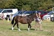 PBHS0850.jpg