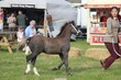 PHS_2834.jpg