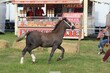 PHS_2836.jpg