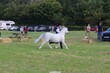 PHS_2895.jpg