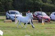 PHS_2896.jpg