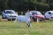 PHS_2897.jpg