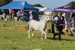 PHS_3241.jpg