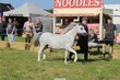 PHS_3246.jpg