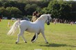 PHS_3719.jpg