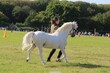 PHS_3720.jpg
