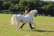 PHS_3721.jpg