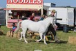 PHS_3797.jpg