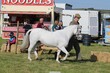PHS_3798.jpg