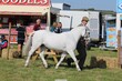 PHS_3799.jpg