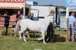 PHS_3800.jpg
