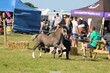 PHS_4032.jpg