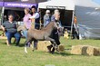 PHS_4037.jpg