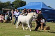 PHS_4107.jpg