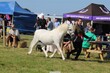 PHS_4110.jpg