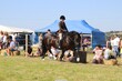 PHS_4798.jpg
