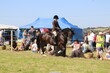 PHS_4800.jpg