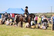 PHS_4801.jpg