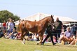 PHS_5478.jpg