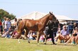 PHS_5479.jpg