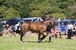 PHS_5547.jpg